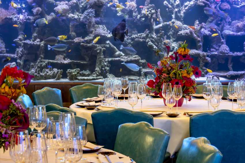 Hire The Coral Reef Room at Sexy Fish , flexible event space